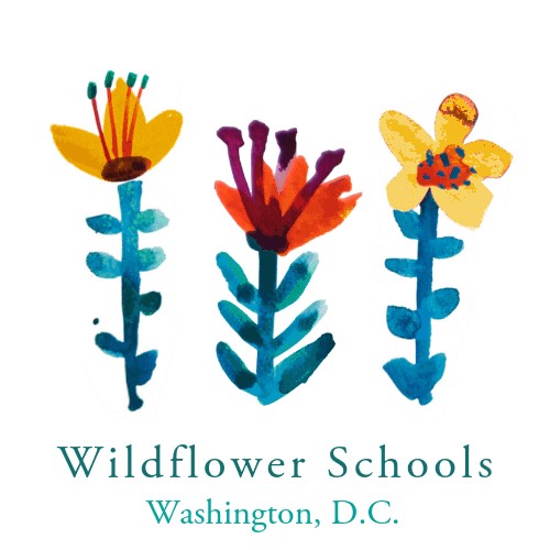 DC Wildflower PCS – The Riverseed School